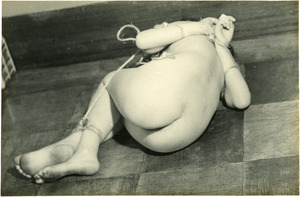 154 ��¼������21Cb
