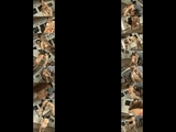 N faile